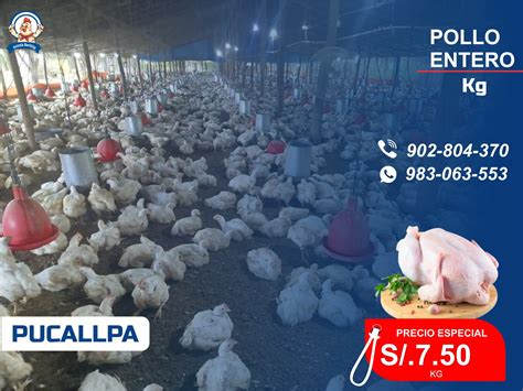 venta de pollos vivos cerca de mi 4