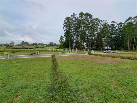 Venta De Lote O Casalote En Llanogrande Rionegro M