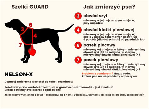 Jak Dobra Odpowiedni Rozmiar Szelek Dla Psa Nelson X Szelki