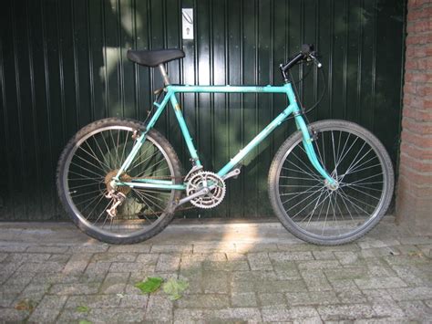 Raleigh Single Speed Retrobike