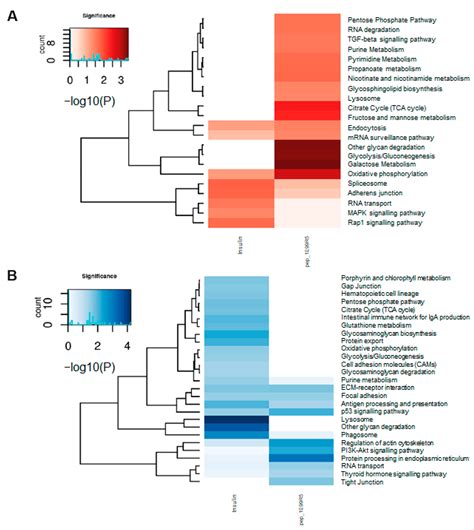 Biomedicines Free Full Text Discovery Through Machine Learning And