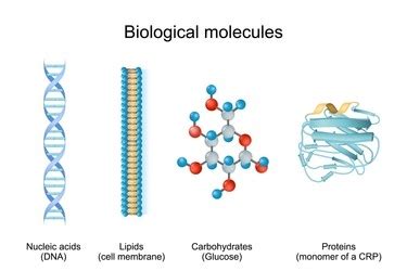 6 Types of Genetics- A Comprehensive Guide - yourbiotechnology