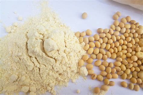 Enhancing The Nutritional Index Of Soy Protein Concentrate Fp Group