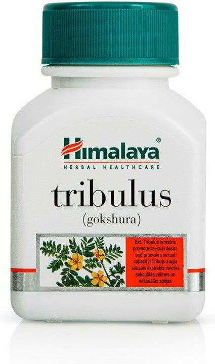 Himalaya Wellness Tribulus Men s Wellness 60φυτικές κάψουλες Skroutz gr