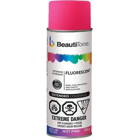 Beauti Tone 315g Fluorescent Hot Pink Acrylic Paint Home Hardware