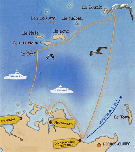 Les oiseaux marins et les phoques de l Archipel des Sept Îles Le