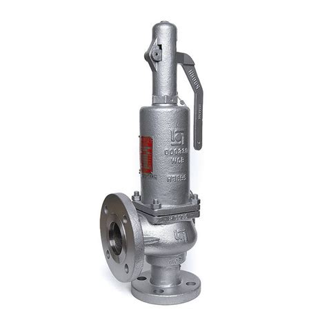 Birkett Flanged Safefy Valve Capital Valves Ltd