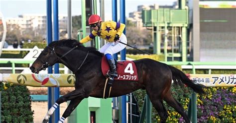 20230122（日）競馬予想結果｜jra・競馬予想｜note