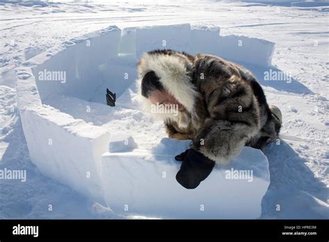 Construcción De Un Iglú En El Northpole Fotografía De Stock Alamy