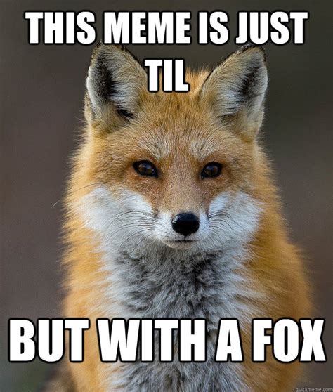 This meme is Just TIL but with a fox - Fun Fact Fox - quickmeme