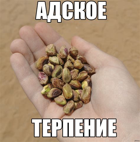 Терпение | Пикабу