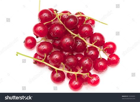 Fresh Red Currant On White Isolated Stock Photo 55345855 Shutterstock