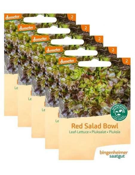 Bingenheimer Saatgut Biologische Pluksla Red Salad Bowl Online Kopen