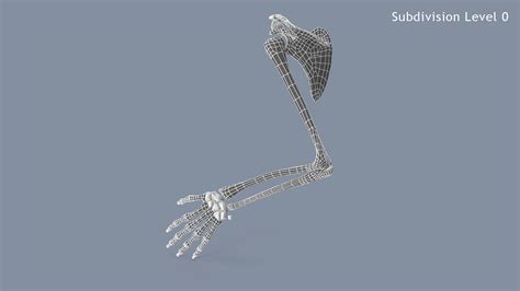 Hand Skeleton 3d Model 49 Max Obj Fbx Ma Free3d