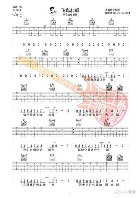 飞鸟和蝉吉他谱任然g调简单版吉他谱附教学 吉他园地