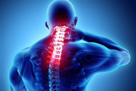 Neck Pain Specialist Palm Harbor Fl Orthopedic Specialists