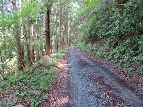 静岡県伊豆の林道行脚23 5 1