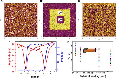 Piezoresponse Force Microscopy The Surface Topography A With