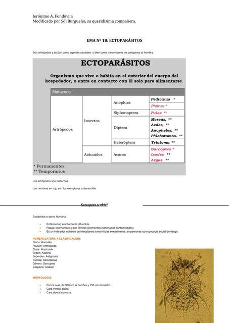 Parasitología uDocz