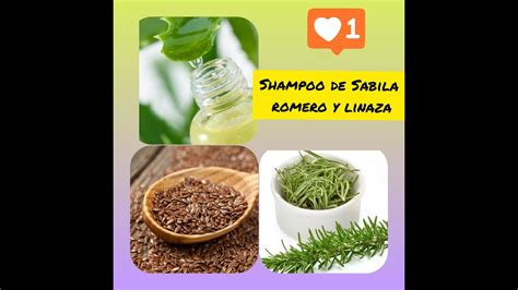 Shampoo De Sabila Romero Y Linaza Para La Caida Del Cabello Youtube