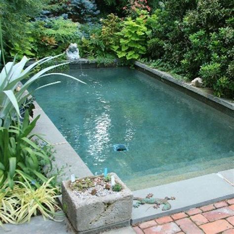 Small Plunge Pool Ideas – HOMYSTYLE