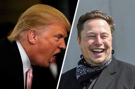 Elon Musk Says He Will Reverse Twitters Permaban On Donald Trump