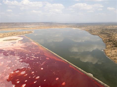 Magadi Red! - Tropicair