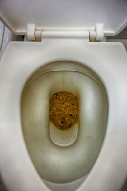 Best Fracture Broken Toilet Public Restroom Stock Photos Pictures
