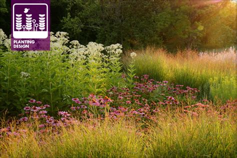 Creating A Native Planting Design Style The Field