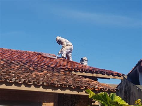 Homem Morre Após Casal Ser Atacado Por Enxame De Abelhas Em