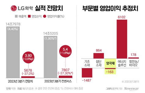 뒤늦게 Lfp 뛰어든 Lg화학···배터리소재 실적부진 정면돌파 뉴스웨이