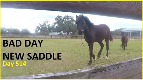 A Bad Day And A New Saddle Daily Vlog 514 Connerton Adventures