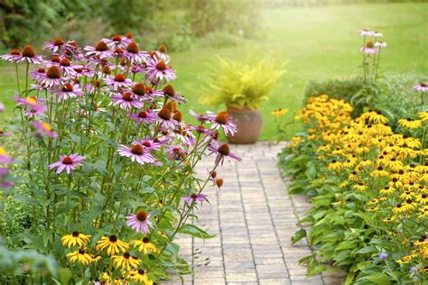 Lavender Colored Wildflowers