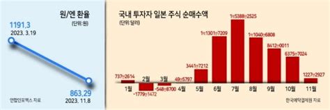 日주식·엔화etf 쓸어담는 일학개미 네이트 뉴스