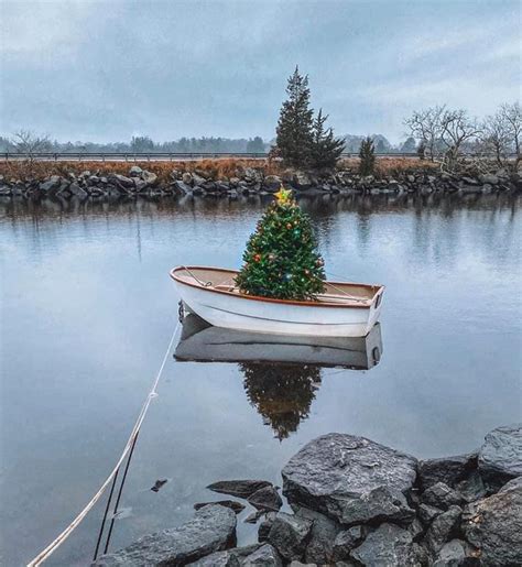 A Christmas Tree Boat In Tiverton