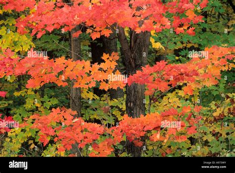 Northern Ontario Provincial Parks Hi Res Stock Photography And Images