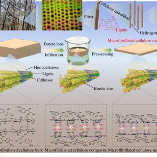 Illustration of the synthesis of microfibrillated cellulose material ...