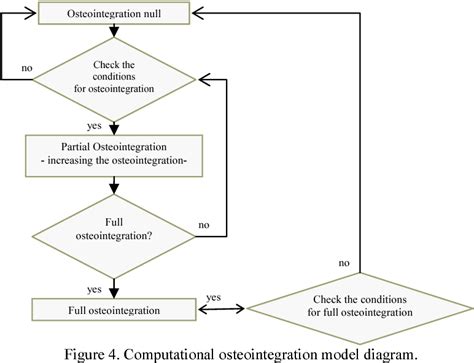 Figure 14 From A Model Of Bone Adaptation As A Topology Optimization