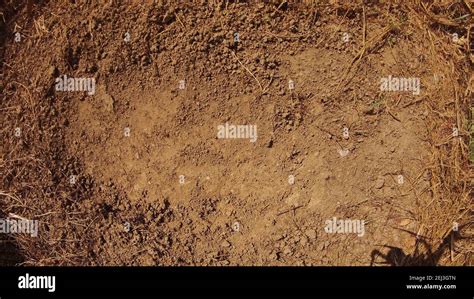 A brown soil texture background Stock Photo - Alamy