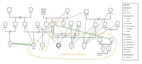 Wat Is Een Genogram Roots Of Me Genogram Software