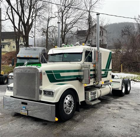 Freightliner Classic Bug Shields By Dane