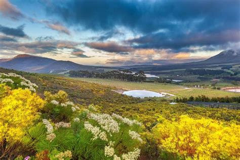 Overberg Attractions, The Overberg, Western Cape, South Africa