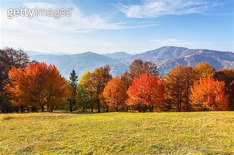 Autumn Scenery Landscape With Amazing Mountains Fields And Forests