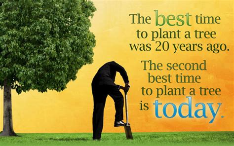 The Best Time To Plant A Tree Was 20 Years Ago The Second Best Time To