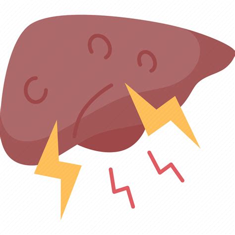 Liver Damage Organ Inflammation Disease Icon Download On Iconfinder