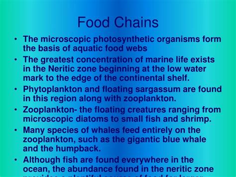 PPT - The Neritic Zone PowerPoint Presentation - ID:1468068