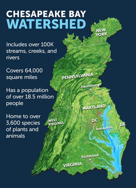 What Is a Watershed?