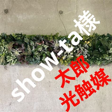 光触媒 人工観葉植物 ウォールグリーン フェイクグリーン 壁掛けshow Ta様 【現品限り一斉値下げ！】 142428円