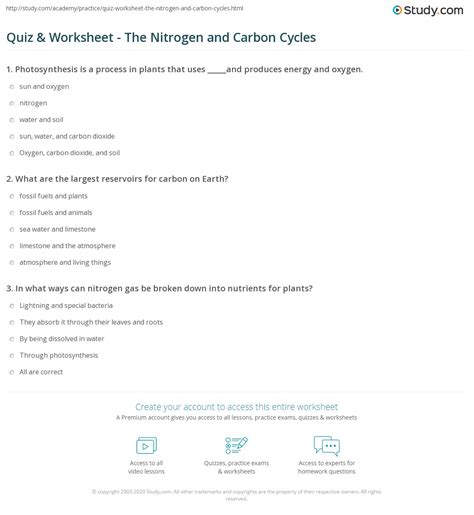 Water Carbon And Nitrogen Cycle Worksheets