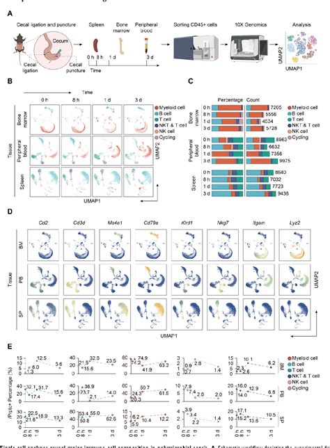 Figure 1 From Single Cell Transcriptome Profiling Of The Immune Space